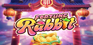 hacker fortune rabbit